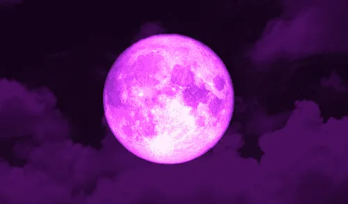 Así se podrá ver en vivo la luna rosa de abril.