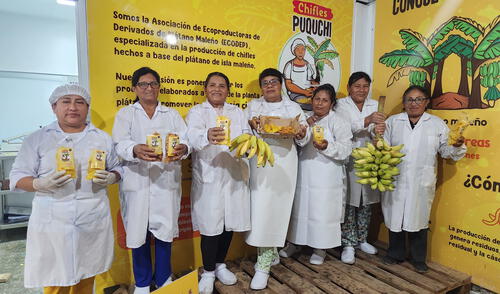 Proyectos son amigables, ecológicos y sostenibles