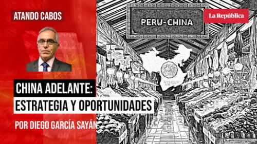 Diego García Sayán