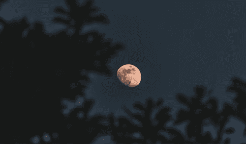 La Luna Rosa se verá en Nicaragua este sábado 12 de abril, con su punto máximo a las 5:00 p.m. ¡No te la pierdas! Foto: Freepik La Luna Rosa se verá en Nicaragua este sábado 12 de abril, con su punto máximo a las 5:00 p.m. ¡No te la pierdas!