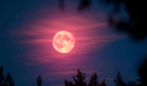 Esta microluna de abril de 2025 es la segunda de las tres microlunas del año. Foto: difusión.