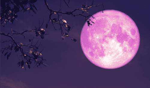 Para poder disfrutar de la Luna Rosa 2025 en México se recomienda permanecer en sitios son alejados del ruido. Foto: difusión Para poder disfrutar de la Luna Rosa 2025 en México se recomienda permanecer en sitios son alejados del ruido.