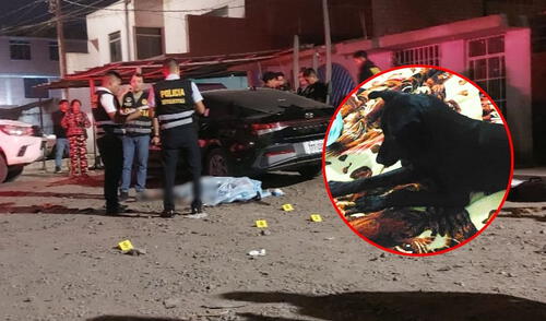 Sicario mata a balazos a perro que lo persiguió tras haber asesinado a un hombre en Trujillo