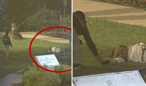 Capturan a delincuente en Miraflores