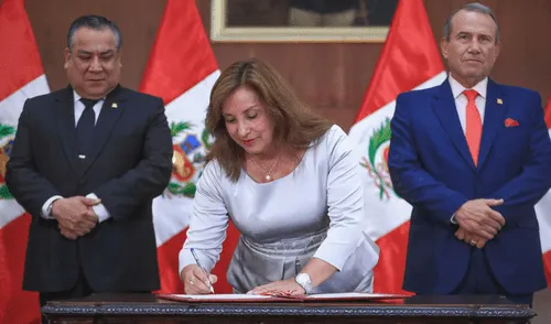 Dina Boluarte firmó la ley que impone mayor control estatal sobre ONG y modifica funciones de la APCI. | Foto: Presidencia. Dina Boluarte firmó la ley que impone mayor control estatal sobre ONG y modifica funciones de la APCI.