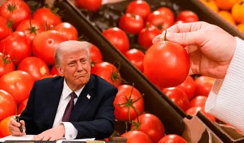 El 98% de las exportaciones mexicanas de tomate tienen como destino el territorio estadounidense. Foto: AFP El 98% de las exportaciones mexicanas de tomate tienen como destino el territorio estadounidense. Foto: AFP