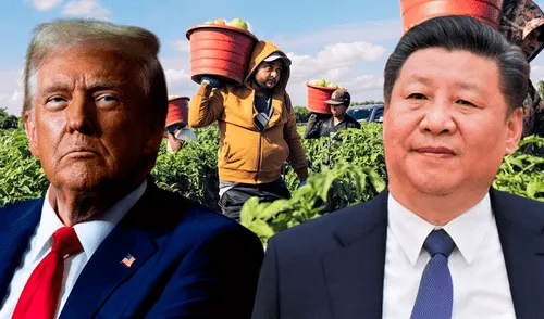 Según Trump, los productores agrícolas, pieza clave en la estrategia de negociación con China, han sufrido las consecuencias adoptadas por el gobierno asiático. Foto: Composición LR. Según Trump, los productores agrícolas, pieza clave en la estrategia de negociación con China, han sufrido las consecuencias adoptadas por el gobierno asiático. Foto: Composición LR.