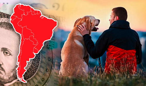 Además, la normativa de este país establece sanciones para quienes incumplan estas disposiciones. Foto: Composición LR/PNGTree. Este país de Sudamérica cobra un impuesto específico por la tenencia de perros y no es el único en el mundo