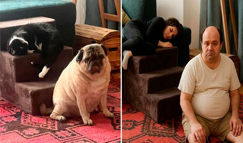 Función de ChatGPT se ha viralizado en redes sociales. Foto: X/@Creapills