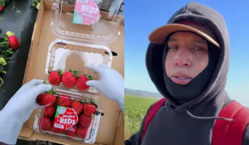 "Vale la pena, porque ganamos depende de lo que hacemos", dijo a través de Tiktok. Foto: composición LR.