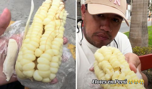 Mexicano visita Perú y queda decepcionado al probar choclo con queso: “Le falta la mayonesa”