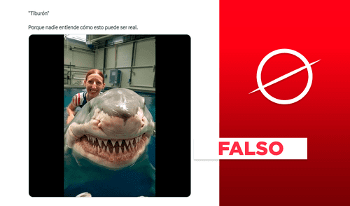 Video de entrenadora acariciando a tiburón fue hecho con IA