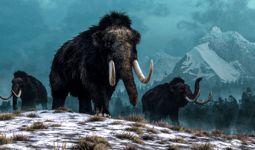 Científicos descubren al mamut lanudo más antiguo de América del Norte como parte de un importante estudio de ADN