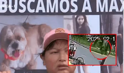 El perro fue hurtado por dos mujeres. El hecho fue captado por cámaras de seguridad. Foto: composición LR/ATV.