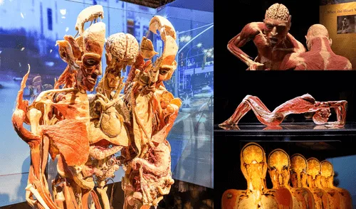 El dueño de Body Worlds aseguró que todos los cuerpos fueron donados voluntariamente, pero existen dudas por algunos informes de distintos medios. Foto: composición LR/difusión/WHYY. La polémica detrás de Body Worlds: ¿cadáveres de desaparecidos en la exposición científica más famosa del mundo?