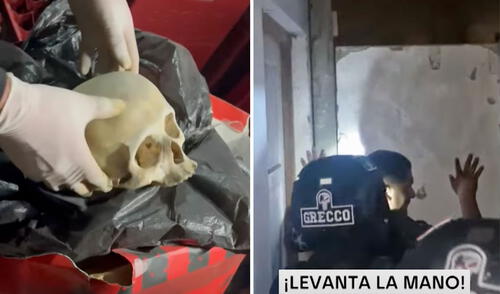 Detenidos serán llevados a la Dirincri PNP para las investigaciones del caso tras cometer múltiples delitos en Ancón y Santa Rosa.