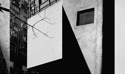 Fotografía de Mariano Zuzunaga. Colección Jan Mulder. Fotografía de Mariano Zuzunaga. Colección Jan Mulder.