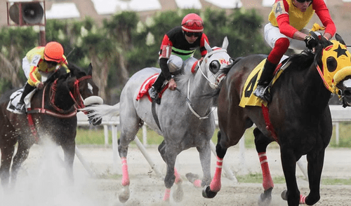 El INH actualiza sobre dividendos y tipos de apuestas en sus redes sociales, facilitando información crucial para apostadores y fanáticos del turf venezolano.