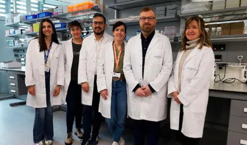 Este descubrimiento promete iluminar nuevos caminos para combatir otros tipos de cáncer donde el microambiente tumoral juega un rol igualmente crucial. Foto: Hospital del Mar