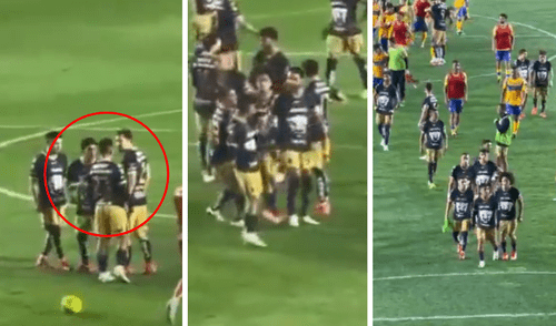 Piero Quispe fue titular en el Pumas vs Tigres. Foto: composición LR/captura de X Piero Quispe no soportó derrota de Pumas y casi se va a las manos con su compañero