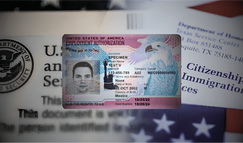 Inmigrantes con Green Card o ciertas visas pueden trabajar en Estados Unidos en 2025 sin necesidad de EAD.