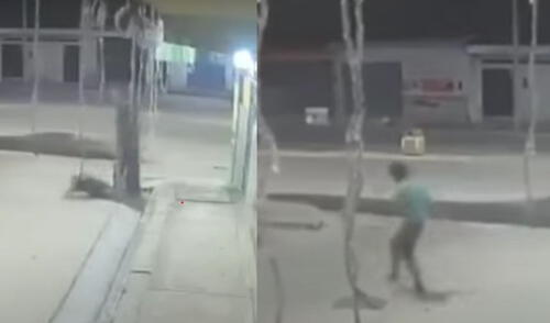 Ladrón se lanzó del segundo piso tras activar las alarmas de seguridad de una pollería