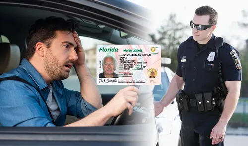 El Florida Clean Air Act es una ley destinada a proteger la calidad del aire, alineándose con la legislación nacional para controlar las emisiones de contaminantes en el estado.