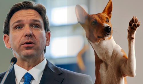 DeSantis y la nueva ley que beneficiará a las mascotas y ciudadanos de Florida