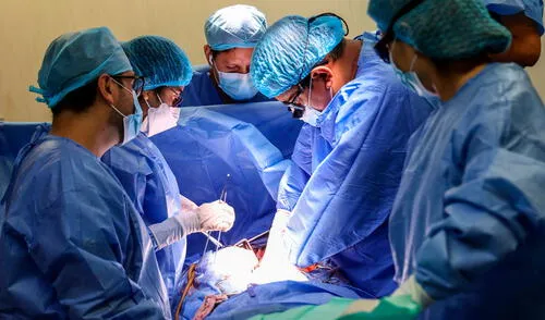 El personal de EsSalud instó a la población a ser donantes de órganos. Foto: EsSalud El personal de EsSalud instó a la población a ser donantes de órganos.