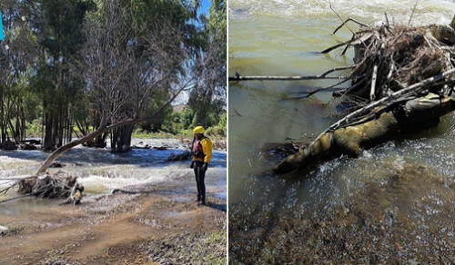 Foto: Composición LR/Leonela Aquino/URPI
