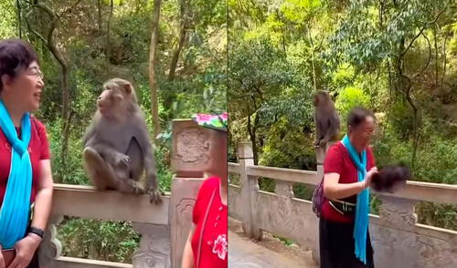 Video tiene miles de vistas en la plataforma. Foto: captura de TikTok/@elespanolcom