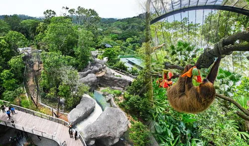 El zoológico más grande del mundo reúne a 2530 animales y necesitas 3 horas para visitarlo: no está en Estados Unidos