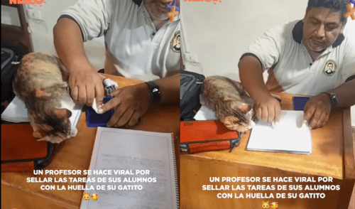Profesor de colegio sella tarea de sus alumnos con huella de su gato y se vuelve viral en redes
