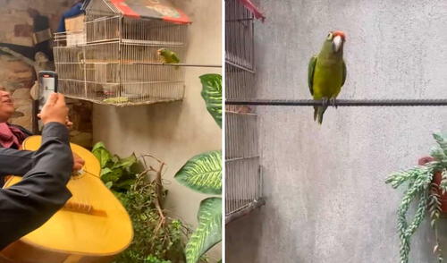 Video tiene miles de vistas en la plataforma. Foto: captura de TikTok/ @evelinpajarito205 Video tiene miles de vistas en la plataforma. Foto: captura de TikTok/ @evelinpajarito205