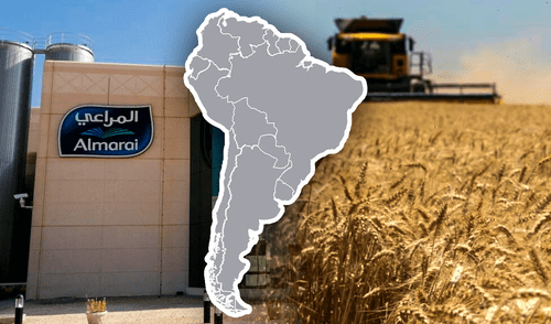 Almarai, la principal empresa láctea de Arabia Saudita, adquirió en 2011 la firma argentina Fondomonte S.A. Foto: Composición LR/GlobalCapital/La Nación. La multinacional saudí que controla más de 12.000 hectáreas en Sudamérica y las usa como fuente de alimentación
