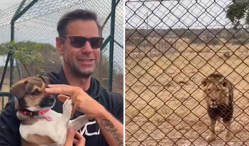 Video tiene miles de vistas en TikTok. Foto: captura de TikTok/@elespanolcom