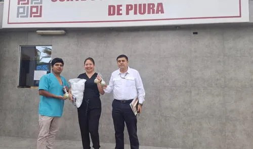 Cada 28 de abril, la Organización Internacional del Trabajo fomenta la prevención de accidentes y enfermedades laborales.