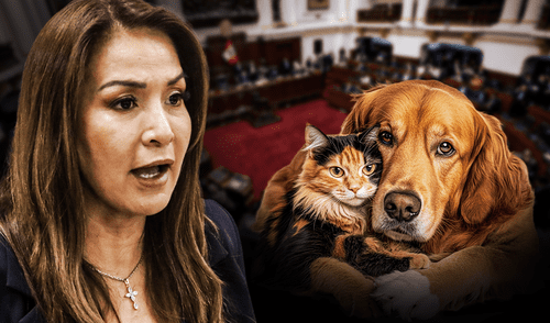 Congresista Magaly Ruiz de Alianza para el Progreso fue quien presentó la propuesta legislativa | Composición: Jazmín Ceras / Foto: LR. Congresista Magaly Ruiz de Alianza para el Progreso fue quien presentó la propuesta legislativa