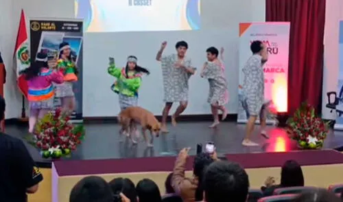 El video tiene miles de vistas y likes. Foto: captura de TikTok/@richardherrera4200