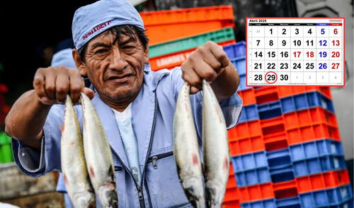 Según el INEI, la tasa de empleo informal alcanzó el 71% a nivel nacional. Foto: Andina/Calendarpedia/LR