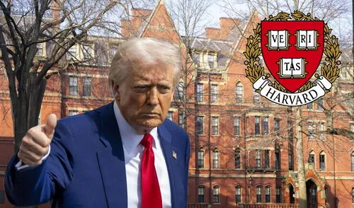 La Universidad de Harvard renombra su departamento de Diversidad, Equidad e Inclusión a “Community and Campus Life Officer” , tras congelamiento de fondos por parte de Donald Trump. Foto: Composición LR (EFE)