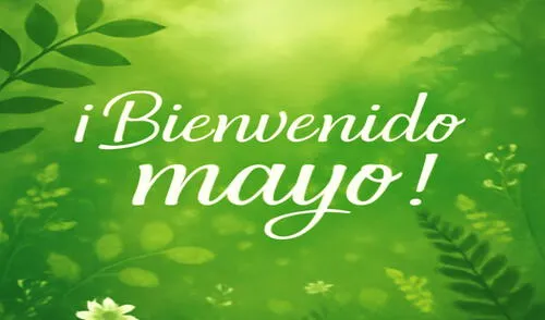 Comparte bonitas frases y reflexiones para iniciar el mes de mayo 2025.