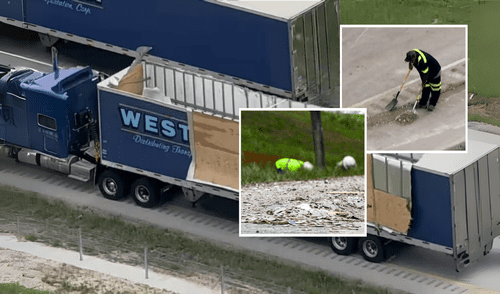 El cargamento debía ser distribuido en bancos y comercios de la región; cada moneda recuperada fue limpiada y verificada antes de volver a circulación.