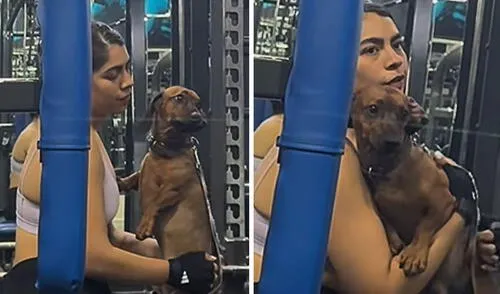 Joven llevó a su perrito al gimnasio y sorprende a usuarios con insólita razón: “Vio a su ex papá”
