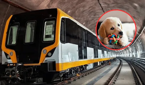 Mascotas podrán viajar en la Líne 2 del Metro de Lima. Foto: composición LR Mascotas podrán viajar en la Líne 2 del Metro de Lima. Foto: composición LR