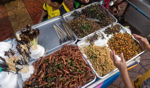 La increíble variedad de insectos para comer en los restaurantes de Tailandia