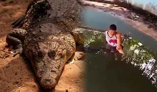 Ataque de cocodrilo en zoológico hembra deja con 50 puntos de sutura a hombre en Filipinas.