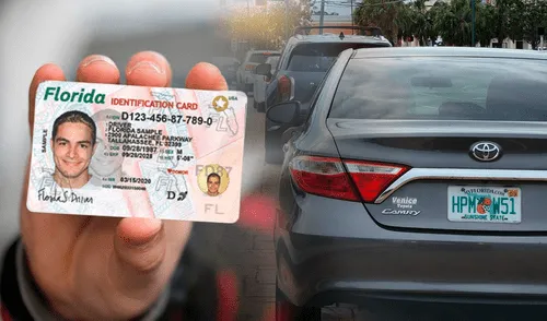 El FLHSMV de Florida pedirá renovar la licencia de conducir al año a ciertos conductores.