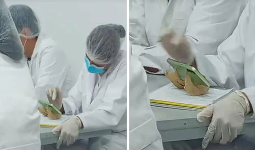 El soporte óseo del celular de la estudiante encendió el debate sobre el trato a restos humanos. Foto: composición LR/ TikTok / @tomysuarez5 El soporte óseo del celular de la estudiante encendió el debate sobre el trato a restos humanos.