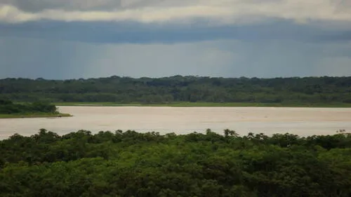 Cynthia Cienfuegos Cynthia Cienfuegos